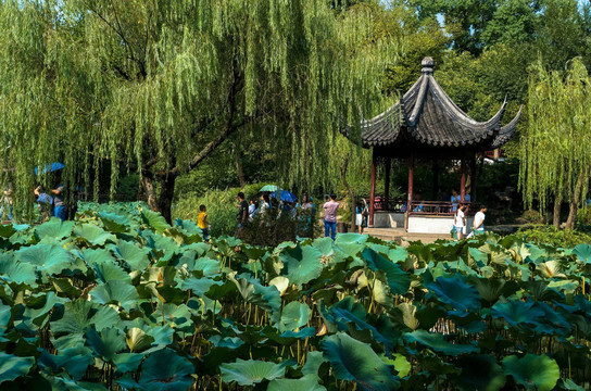 苏州拙政园一日游