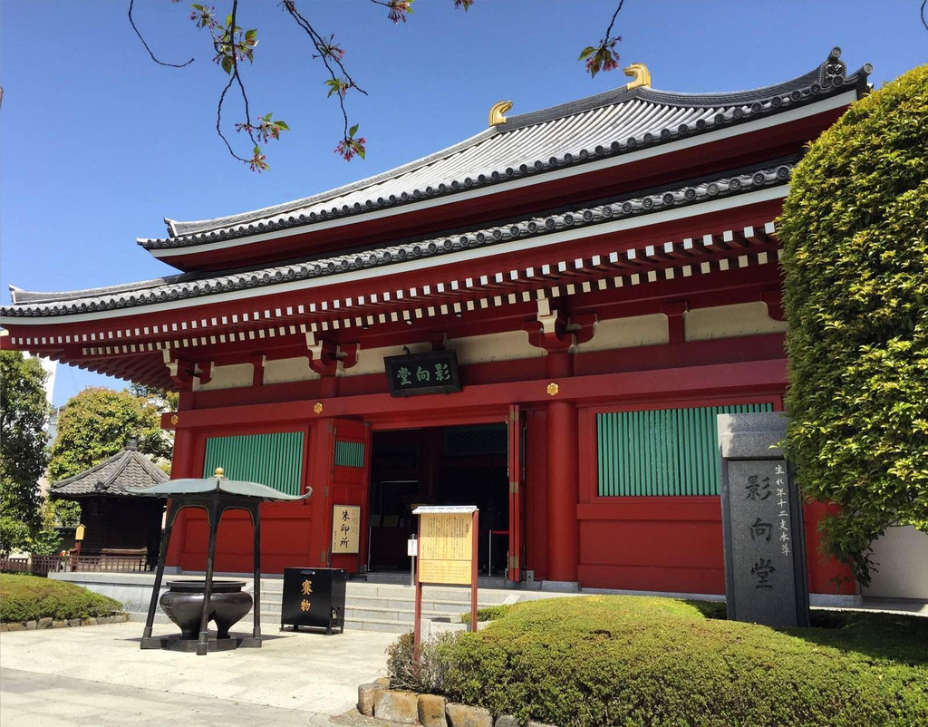 东京~樱花树下沐浴大东亚的荣光