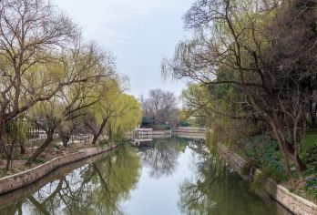 【南京出发】苏州拙政园+寒山寺+虎丘+山塘街纯玩一日游【游苏州园林拙政园、寒山寺、虎丘、七里山塘街】