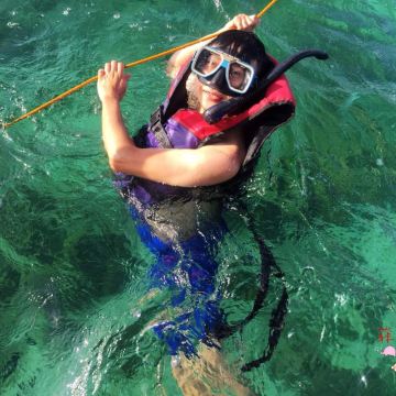 大家都只有拉着这根绳子,不然真的很费力~ 鳄鱼岛