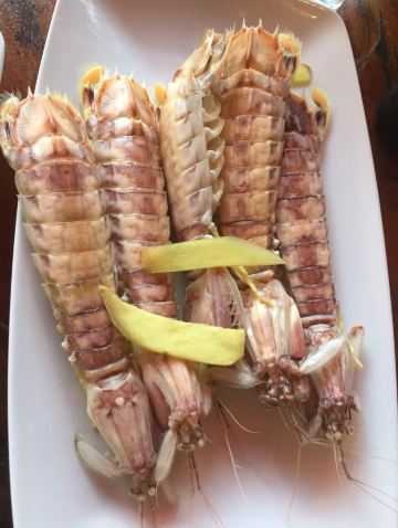 大虾爬子. 老虎吧