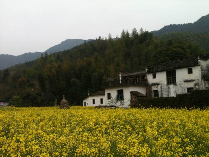 青山绿瓦白墙,典型的徽派风格.