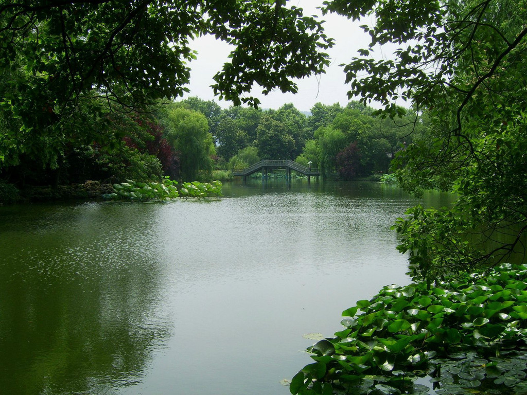 菰蒲无边水茫茫,荷花夜开风露香 渐见灯明出远寺,更待月黑看湖光.