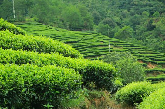 【福建印象】1碧水丹山甲东南