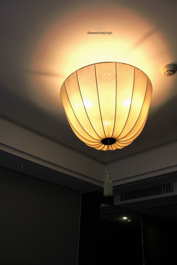 是我喜欢的皮灯吗