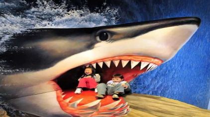 瞳艺3d艺术画展