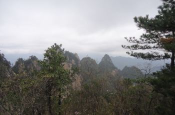 4ab4b67056ac45c6b12451d363d58ea7_C_350_230.jpg