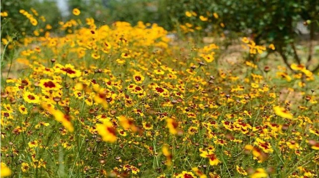 怀来天元大酒店1晚 (可加购)鸡鸣山,黄帝城,紫晶庄园等热门景点门票