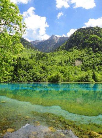 九寨沟四季之五月