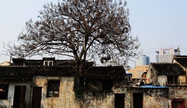 【携程攻略】青果巷,常州青果巷旅游攻略/地址/图片/门票