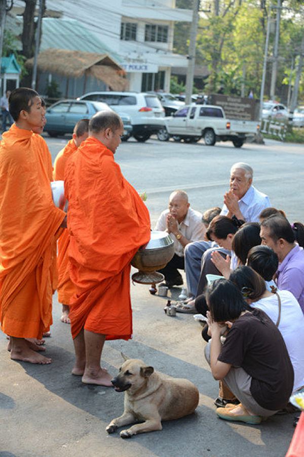 朋友说他下次再来泰国就知道怎么省钱了,先在淘宝上买一套僧袍和一个