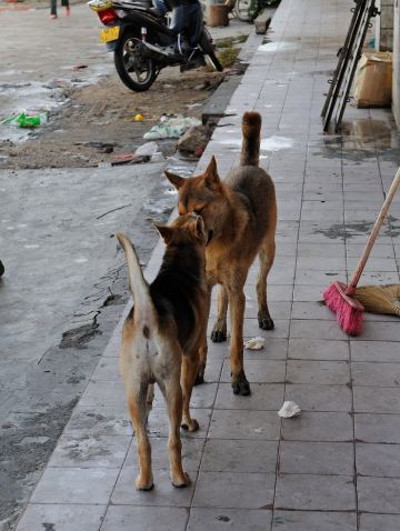 超详细海南西线环岛自驾游记 美食攻略(临高,昌化,东方,佛罗,乐东