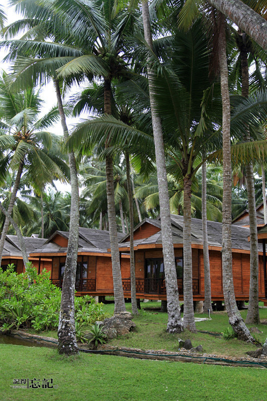 海南文昌:台风过境的美丽临海小镇