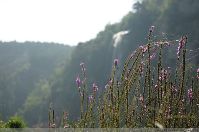 怀柔云阳仙境婚纱照_云阳仙境自然风景区(2)