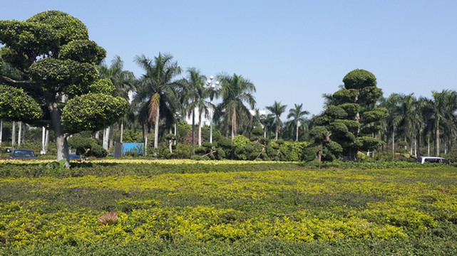 令人惊艳的番禺广场 - 广州游记攻略【携程攻略】