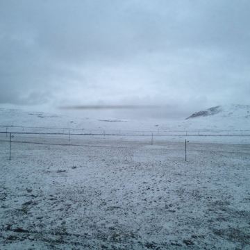 苍茫的天涯是我的爱?