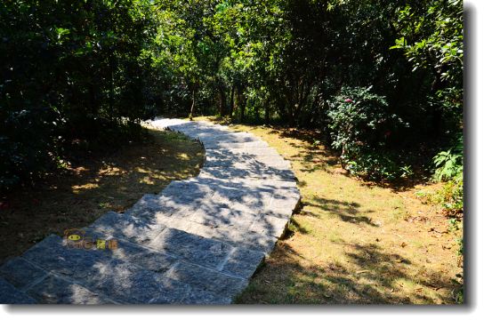 游走佛山-罗村状元公园