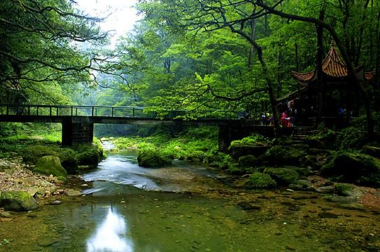 经典景点 :阿凡达哈利路亚原型山(乾坤柱)山水画廊","人间仙境的