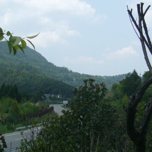 閬苑仙境,風水寶地,文化歷史之旅——閬中兩日遊