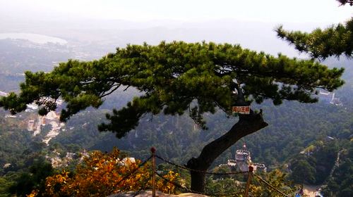 醫巫閭山門票多少錢_醫巫閭山門票價格_醫巫閭山門票團購_攜程旅遊