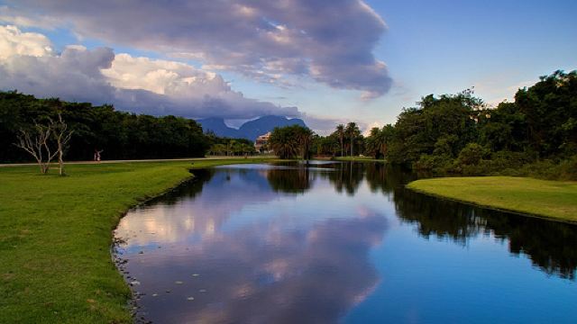 奇久卡国家森林公园tijucanationalpark