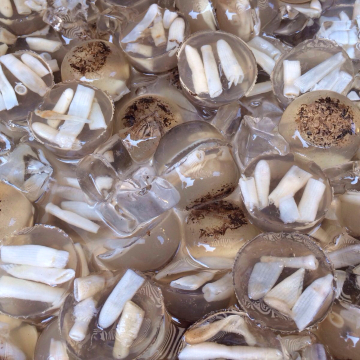 厦门鼓浪屿～～母女美女美旅