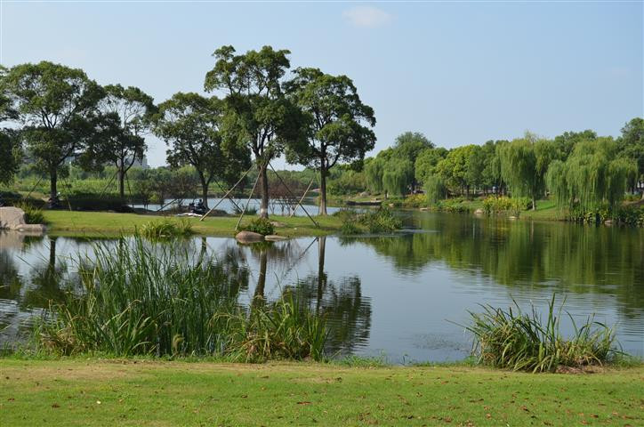 2013年9月15日,上海青浦(上海大观园,淀山湖,朱家角湿地公园,朱家角