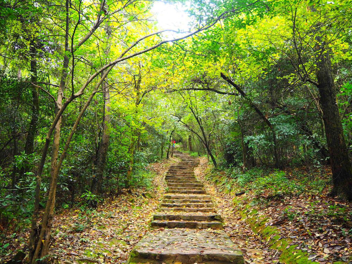 往云麓宫的山路