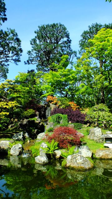 矮乔木被巧妙的修剪.