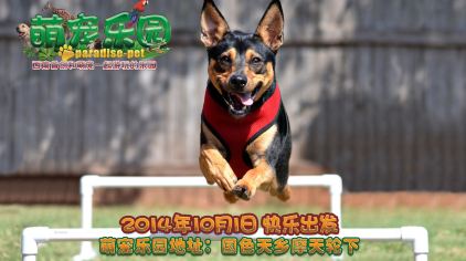 e4149db5f60d4957bff4b4bdd8f1160f_C_422_236.jpg