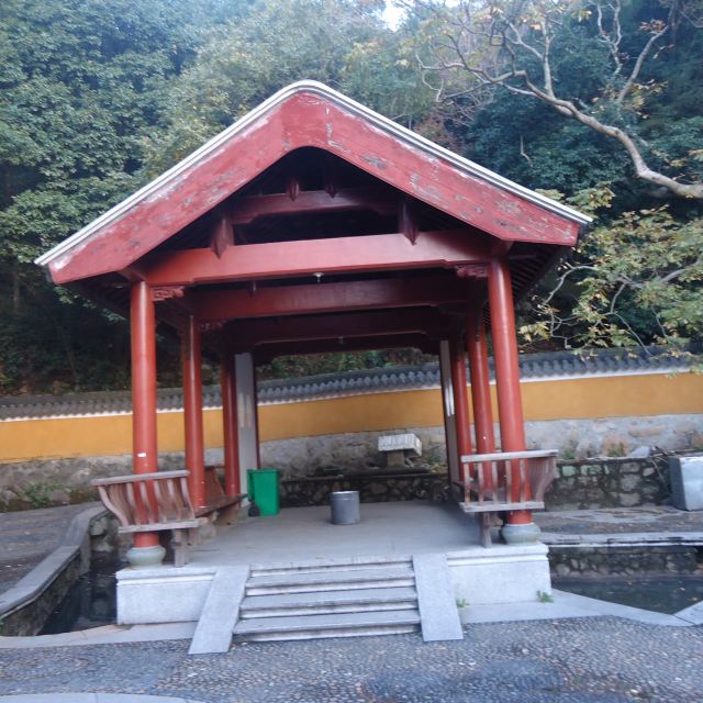 随手拍之普陀香云蓬