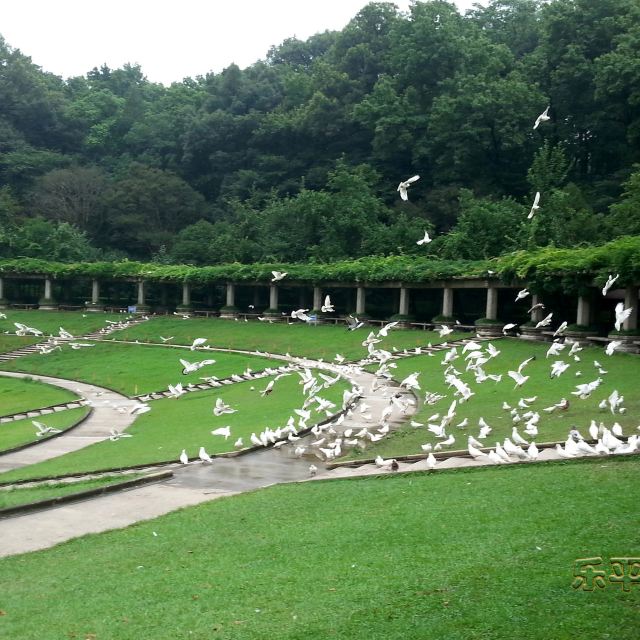 闪游南京中山陵音乐台