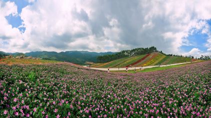 十里蓝山寻梦谷门票价格-十里蓝山寻梦谷门票预订-十里蓝山寻梦谷门票