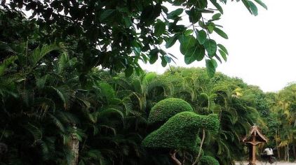 2012092511042272656.jpg