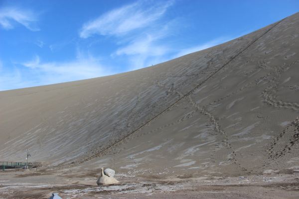 (原创)万里西风瀚海沙,2013年元旦西游行--开在尘沙里的花