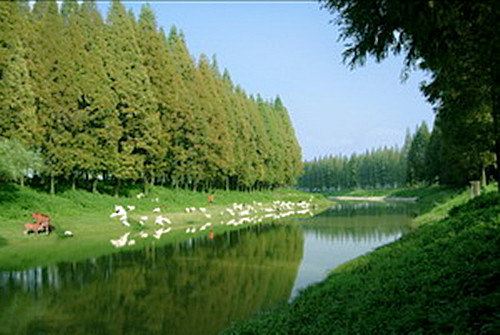 潜江旅游团：品味楚风汉韵