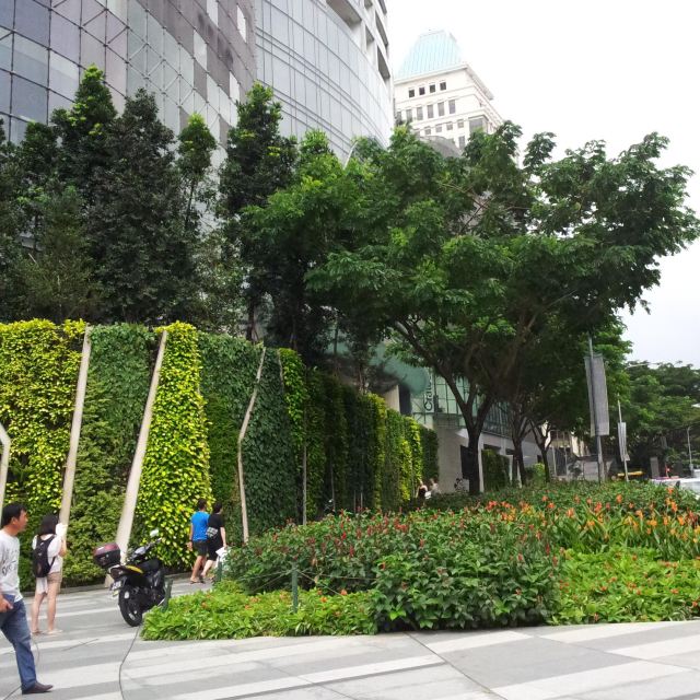 新年游新马 - 马六甲市游记攻略【携程攻略】