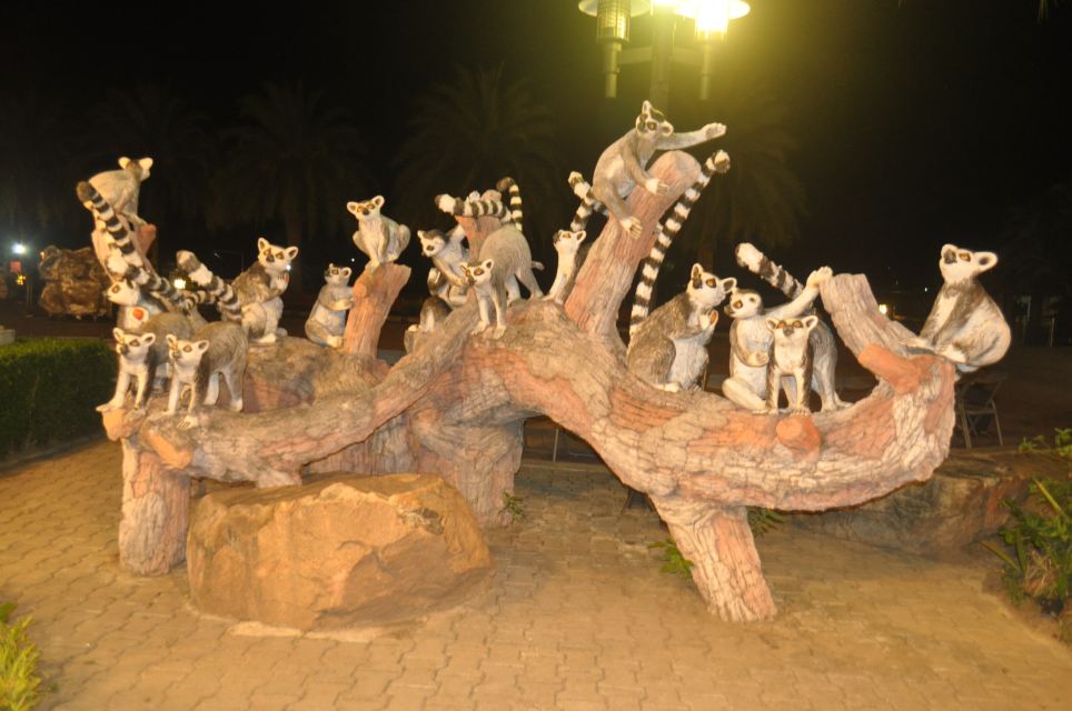 清迈夜间动物园
