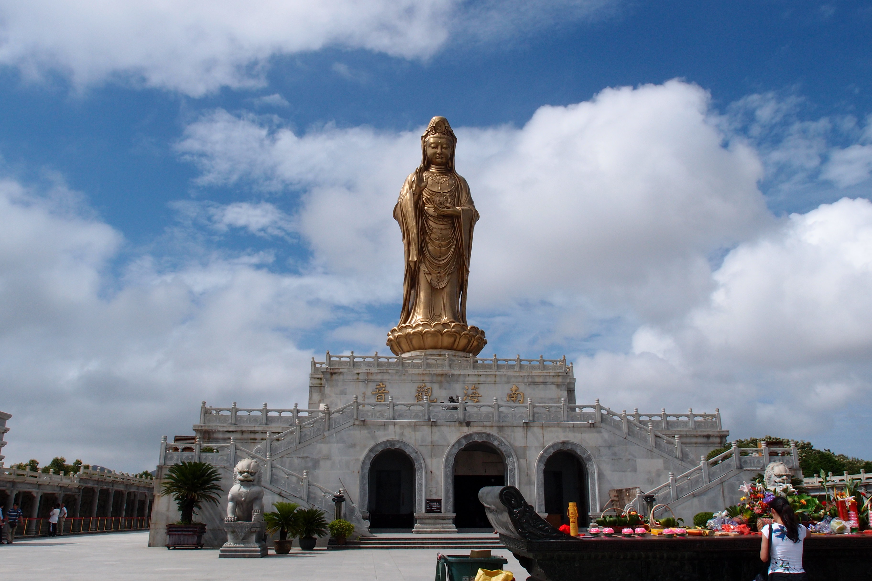 普陀山经典全涵盖喜欢记得收藏 - 医药经