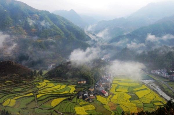 浙江開化縣的青山,花海與茶香