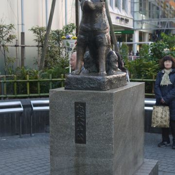 大和之美与东瀛之风——从关西到关东的霓虹之旅