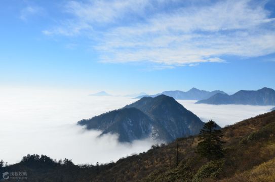 赏雪游 西岭雪山2日1晚跟团游 花水湾 安仁古镇温泉二日游