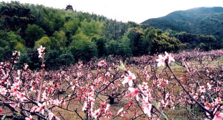 马岙旅游区