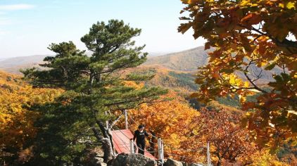 玩不啦景點門票 黑龍江門票 哈爾濱門票 清河林業局懸羊嶺風景區