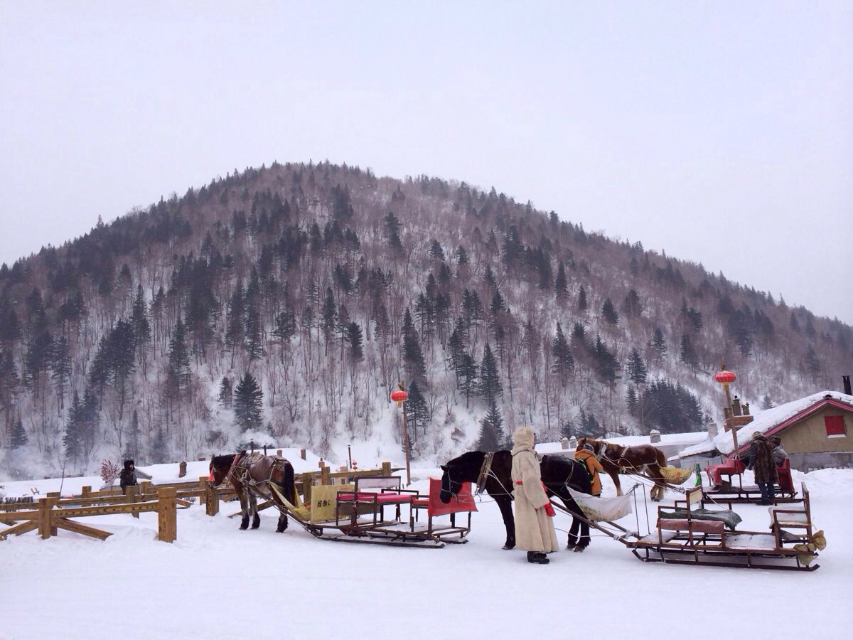 相約冰城白色之旅--哈爾濱,雪鄉五日遊