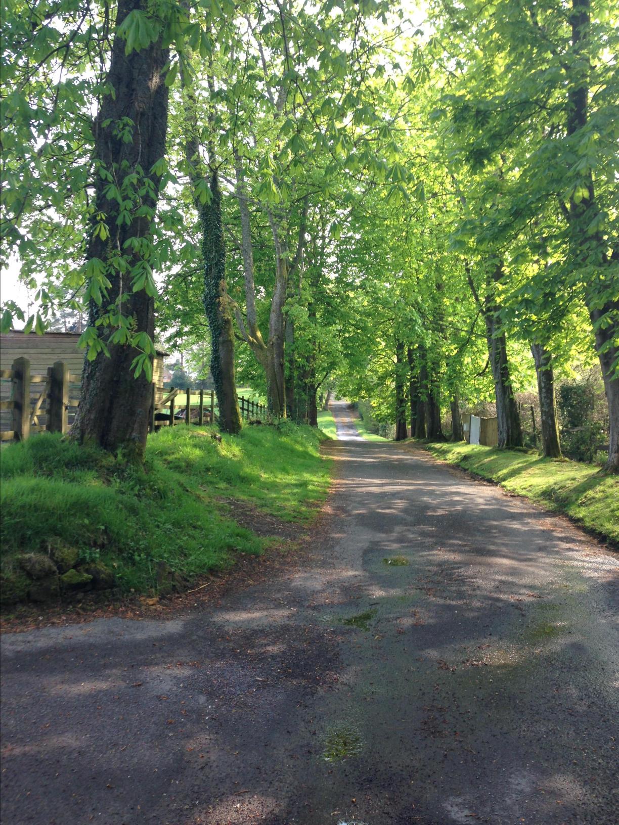 大门外的山间小路.