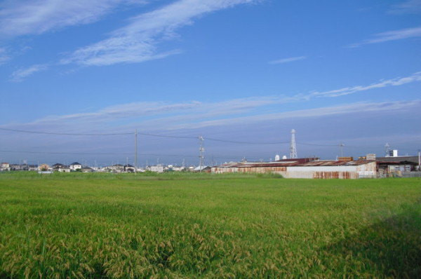 日本天气大阪