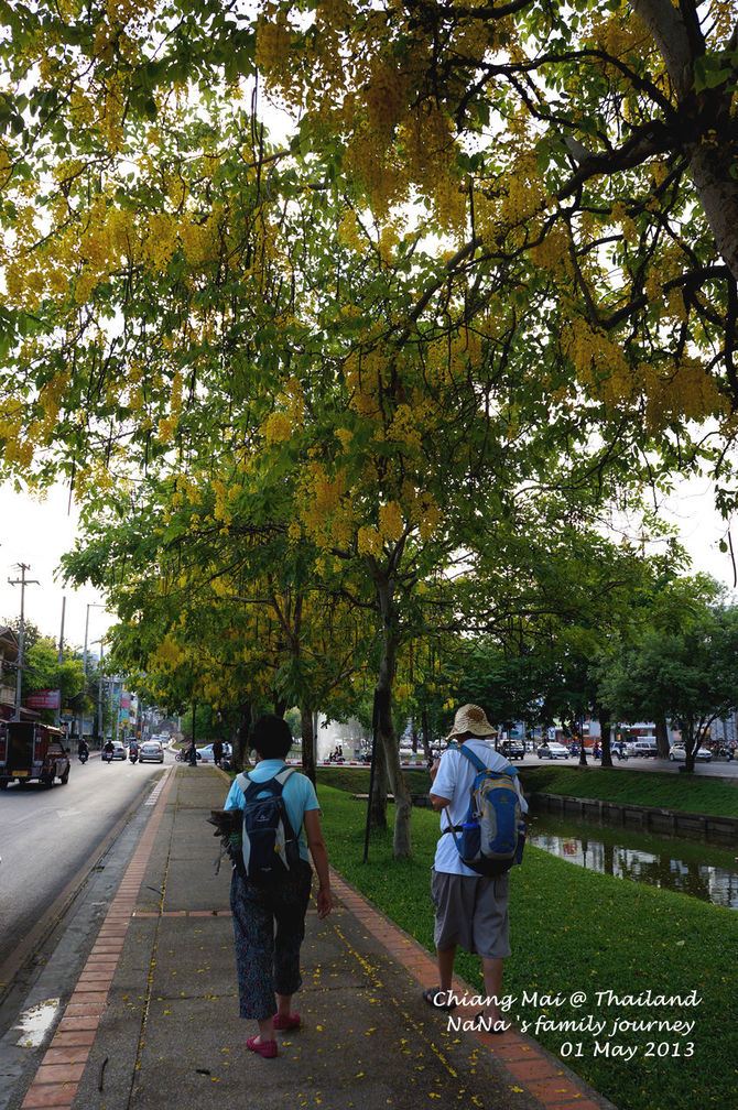 【娜娜出品】带爸妈去旅行之爱上泰国