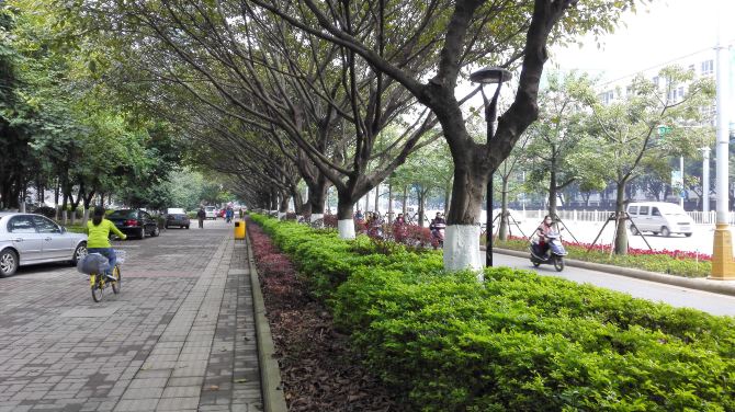 算上绿化带,柳州新城区的马路到底有多宽啊,我一眼看去好像怎么也看不