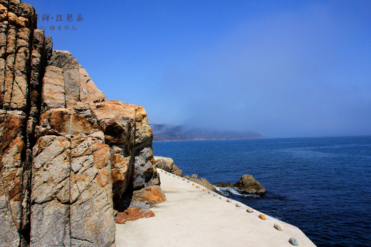 花开香三疆——朝鲜琵琶岛